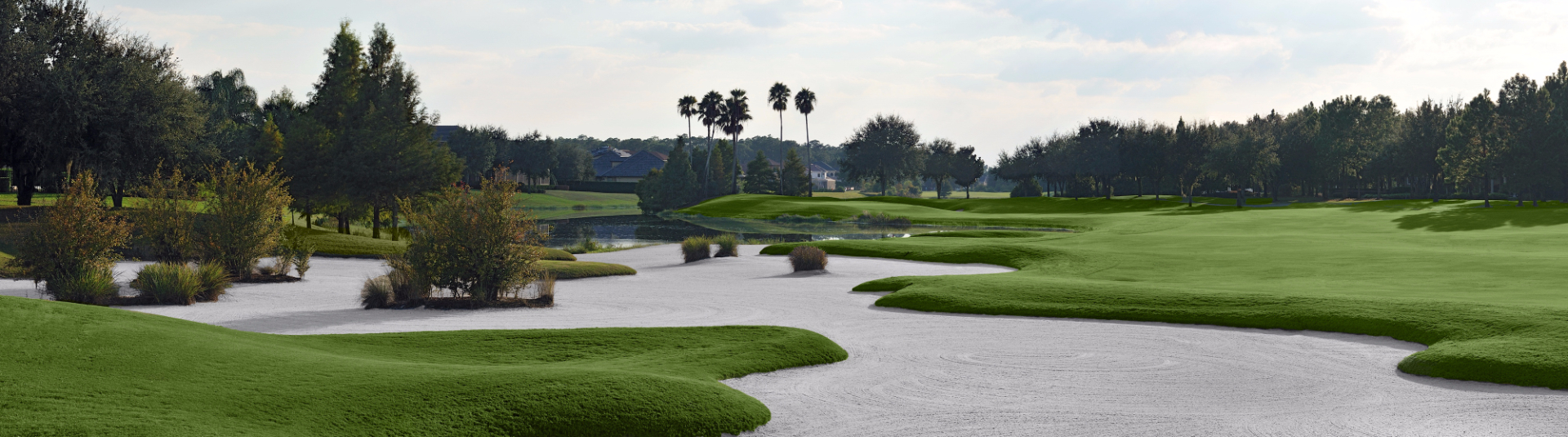 Water on golf course green with trees